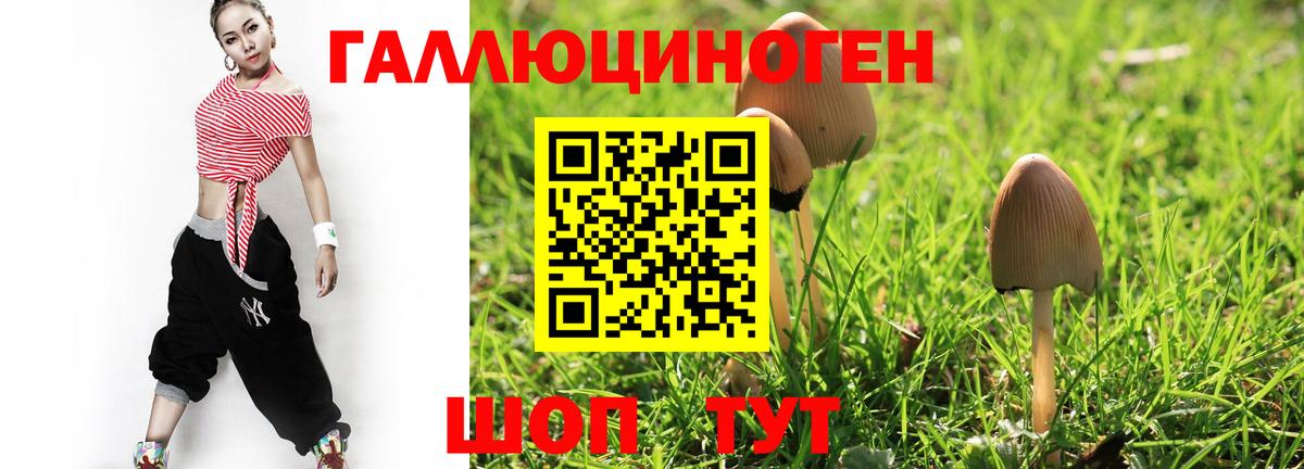 Ставрополь  Псилоцибиновые грибы Magic Shrooms  Вход с VPN 